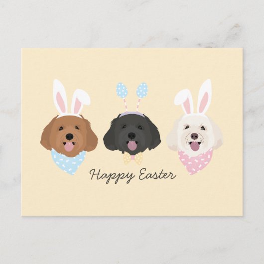 Happy Oaster Maltipoo Hunde Postkarte (Vorderseite)