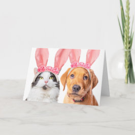 Happy Oaster Niedlich Cat and Puppy in Bunny Ears Feiertagskarte