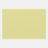 Happy Oaster Niedlich Floral Bunny Spring Leopard Geschenkpapier Set (Vorderseite 3)