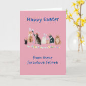 Happy Oaster Pet Grußkarten Karte (Gelbe Blume)