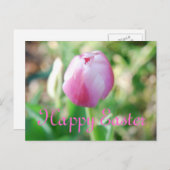 Happy Oaster Pink Tulip Feiertagspostkarte (Vorne/Hinten)