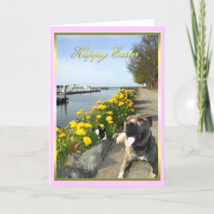 Happy Oaster Pitbull und Hübsche Grußkarte Feiertagskarte