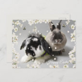 Happy Oaster Postkarte (Vorne/Hinten)