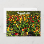 Happy Oaster Red & Yellow Tulips #1 Postkarte (Vorne/Hinten)