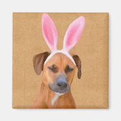 Happy Oaster Rhodesian Ridgeback Magnet (Vorne)