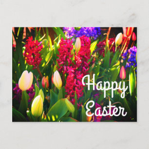 Happy Oaster Spring Flowers #5 Postcard Postkarte