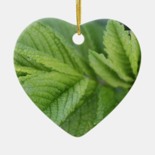 Happy Oaster Spring Green Blätter Keramikornament (Vorne)