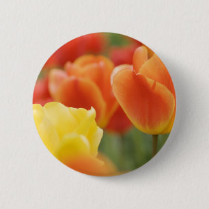 Happy Oaster Tulips Button