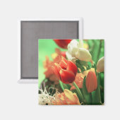 Happy Oaster Tulips Magnet (Vorderseite/Rückseite)