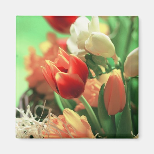 Happy Oaster Tulips Magnet (Vorne)