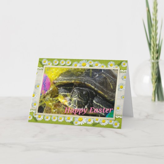 Happy Oaster Turtle Feiertagskarte (Vorderseite)
