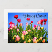 Happy Oaster Verschiedene Tulpen #3 Postkarte (Vorne/Hinten)