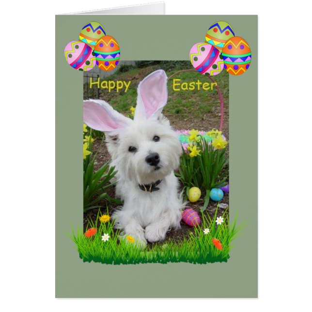 Happy Oaster Westie Card (Vorne)