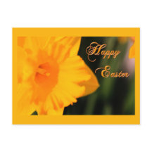 Happy Oaster Yellow Spring Daffodie Blume