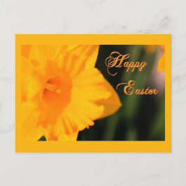 Happy Oaster Yellow Spring Daffodie Blume Feiertagspostkarte
