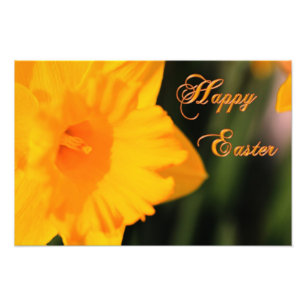 Happy Oaster Yellow Spring Daffodie Blume Fotodruck