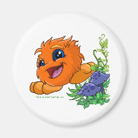 Happy orange JubJub in Neopia Central