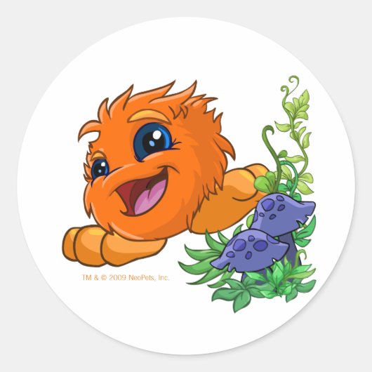 Happy orange JubJub in Neopia Central Runder Aufkleber (Vorderseite)