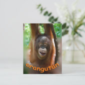Happy Orangutan Postkarte (Stehend Vorderseite)