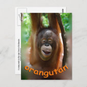 Happy Orangutan Postkarte (Vorne/Hinten)