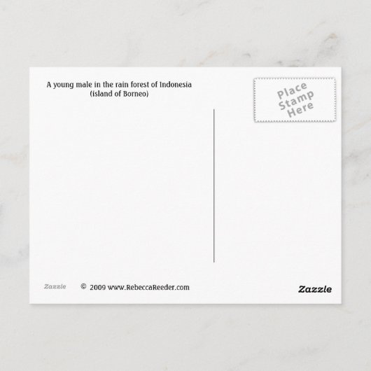 Happy Orangutan Postkarte (Rückseite)