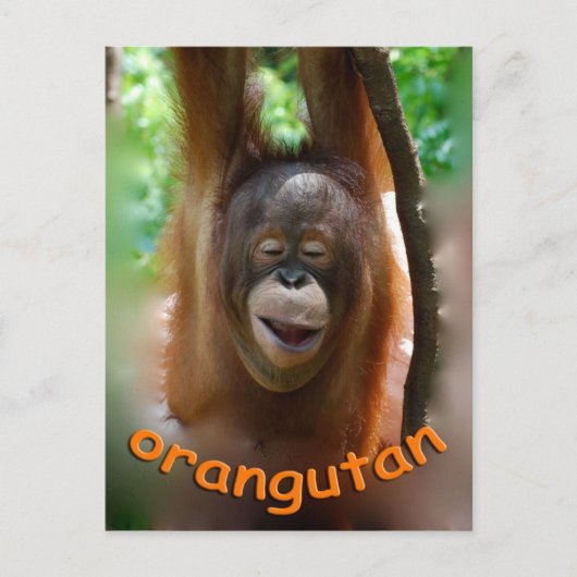 Happy Orangutan Postkarte (Vorderseite)