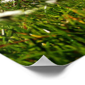 Happy Osterfest Niedlich Bunny mit farbenfroher Os Poster (Ecke)