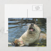 Happy Otter Postkarte (Vorne/Hinten)