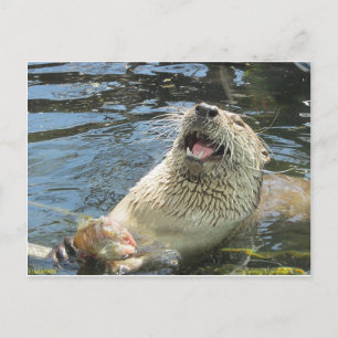 Happy Otter Postkarte