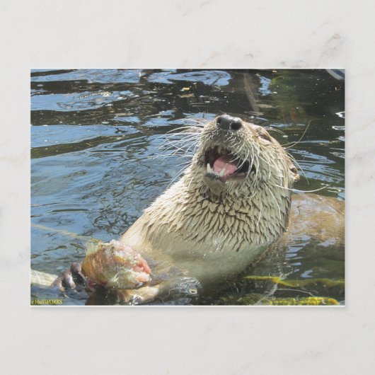 Happy Otter Postkarte (Vorderseite)