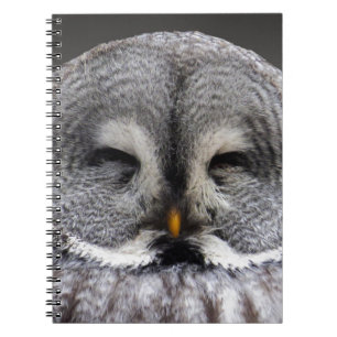 Happy Owl Notizblock