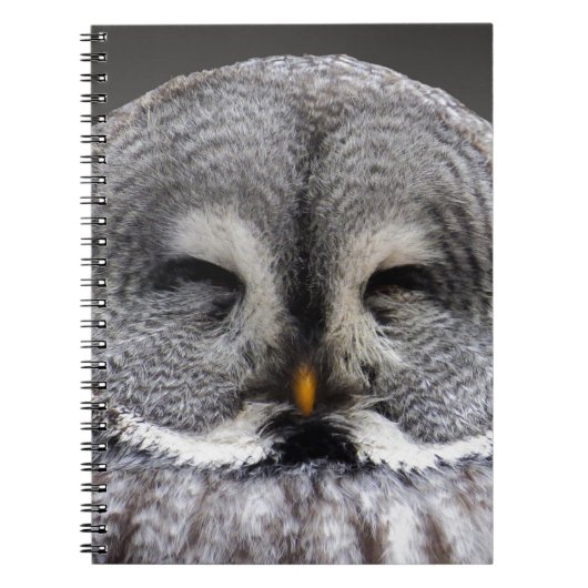 Happy Owl Notizblock (Vorderseite)