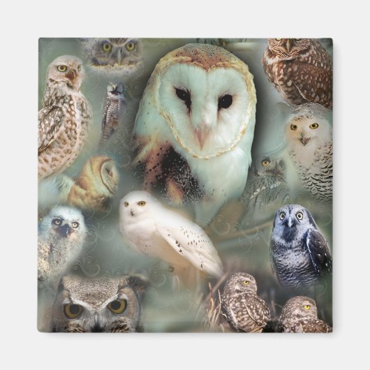 Happy Owls Magnet (Vorne)