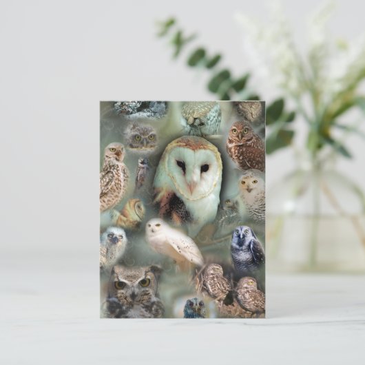 Happy Owls Postkarte (Stehend Vorderseite)