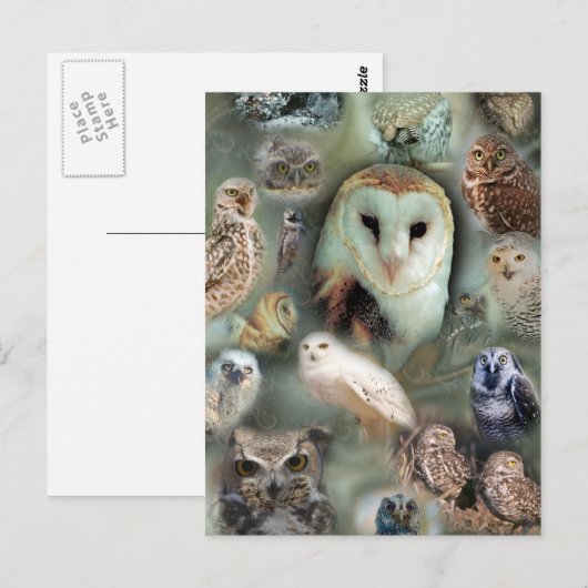 Happy Owls Postkarte (Vorne/Hinten)
