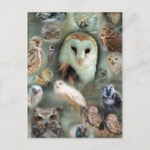 Happy Owls Postkarte (Vorderseite)