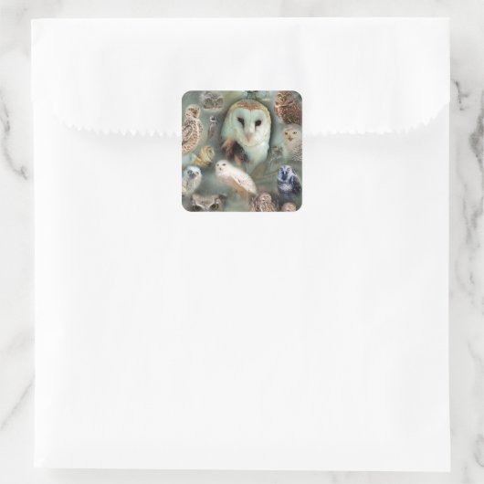 Happy Owls Quadratischer Aufkleber (Tasche)