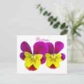 Happy Pansy Greetings Postcard Postkarte (Stehend Vorderseite)