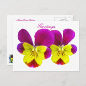 Happy Pansy Greetings Postcard Postkarte (Vorne/Hinten)