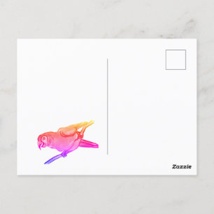 Happy Papagei Postkarte