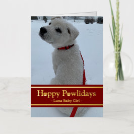 Happy Pawlidays