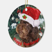 Happy Pawlidays Ceramic Ornament (Links)
