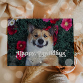 Happy Pawlidays Dog Foto Weihnachten