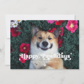 Happy Pawlidays Dog Foto Weihnachten (Vorderseite)