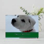 Happy Pawlidays Folien Feiertagskarte (Stehend vorne)