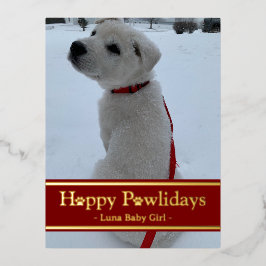 Happy Pawlidays Folien Feiertagspostkarte