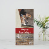 Happy Pawlidays | Foto Weihnachten (Stehend Vorderseite)