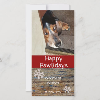 Happy Pawlidays | Foto Weihnachten