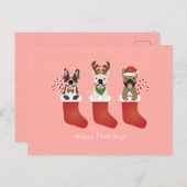 Happy Pawlidays French Bulldogs Christmas Strumpf Postkarte (Vorne/Hinten)