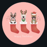 Happy Pawlidays French Bulldogs Christmas Strumpf Runder Aufkleber<br><div class="desc">Illustration von drei französischen Bulldogs in einem Weihnachtsfest-Strumpf. Alle drei Hunde tragen ein einzigartiges Weihnachtskleid für die Weihnachtszeit.</div>
